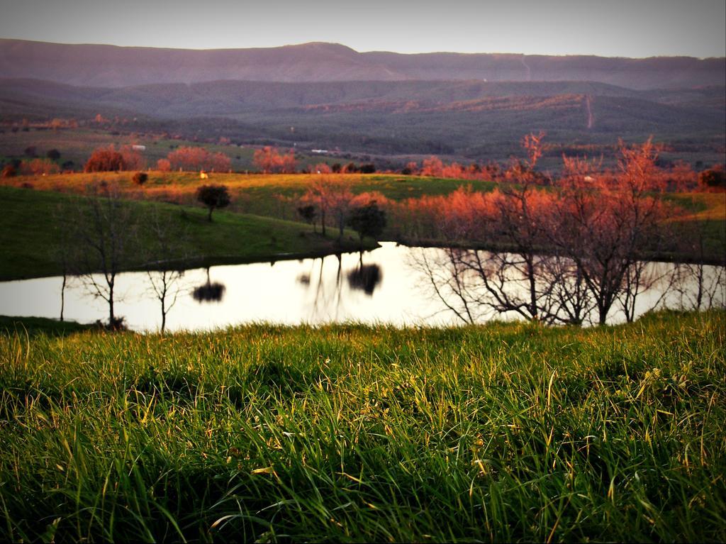 Casa Rural El Cabezo San Martin De Trevejo Εξωτερικό φωτογραφία