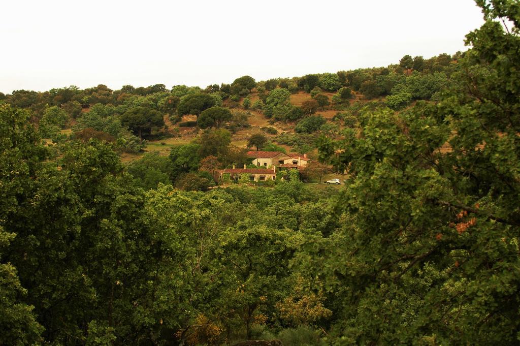 Casa Rural El Cabezo San Martin De Trevejo Εξωτερικό φωτογραφία