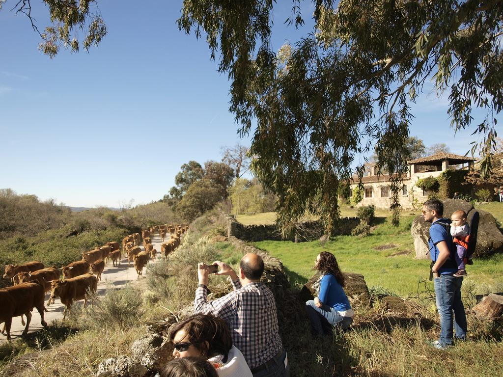 Casa Rural El Cabezo San Martin De Trevejo Εξωτερικό φωτογραφία