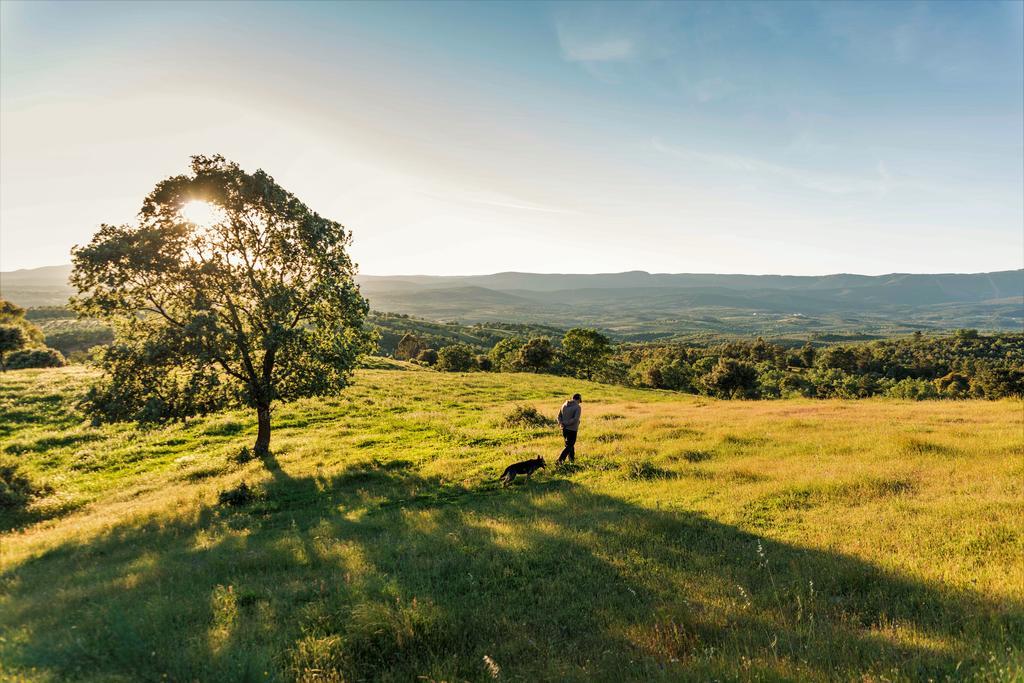Casa Rural El Cabezo San Martin De Trevejo Εξωτερικό φωτογραφία
